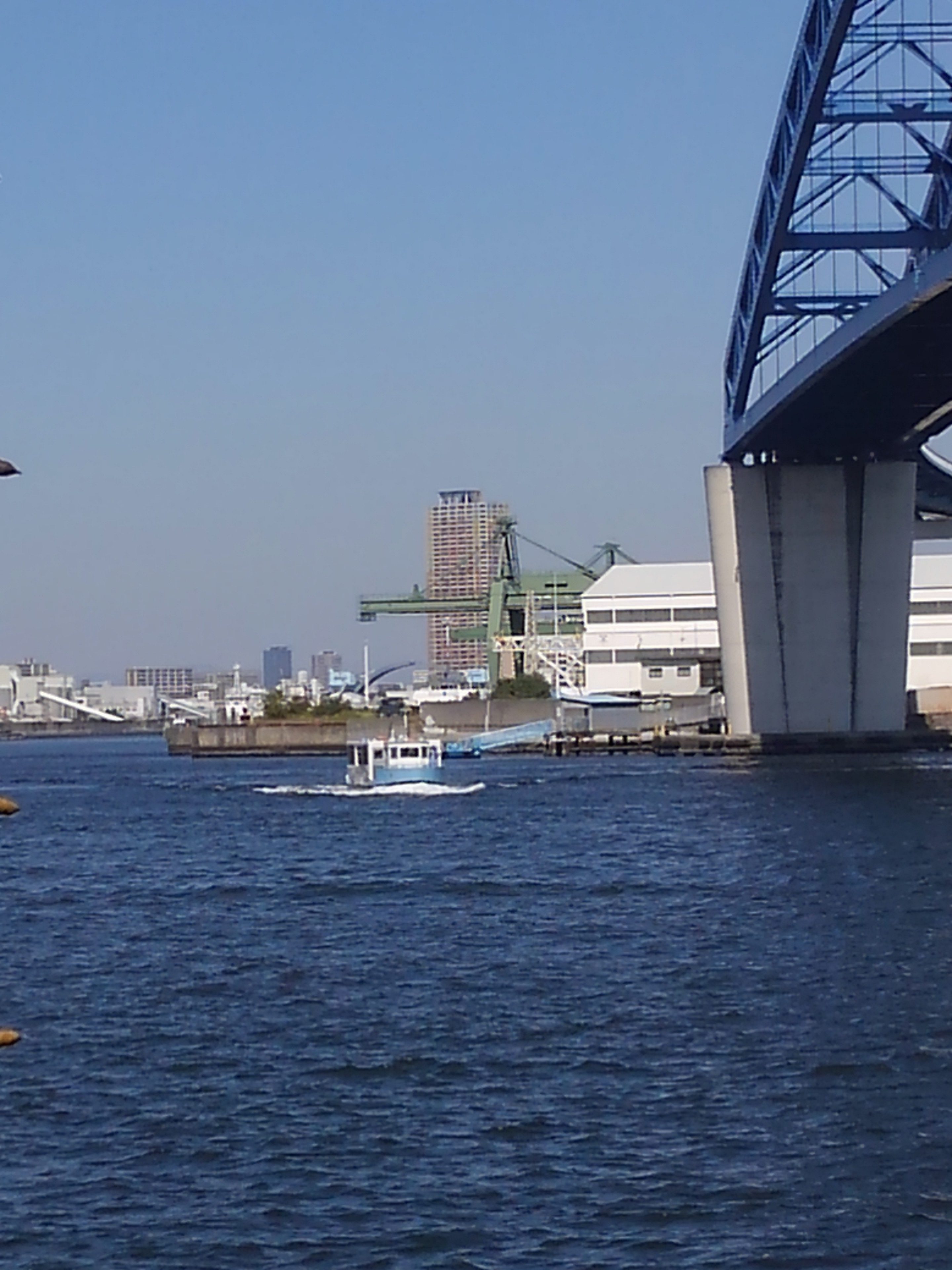 大阪の渡船でサイクリング～その8「千歳渡船場」～